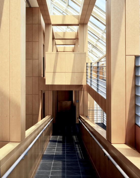 High Muesum Anegre Fiddleback 5.jpeg